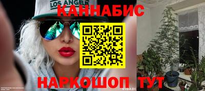 амф Кимры