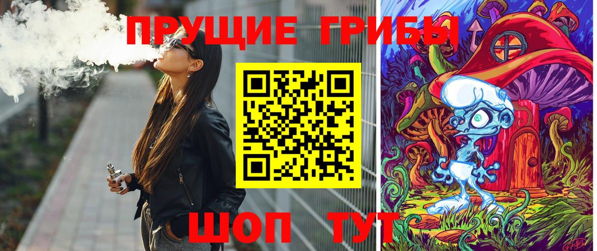 Галлюциногенные грибы Psilocybine cubensis  купить  цена  Котлас  Вход с VPN 