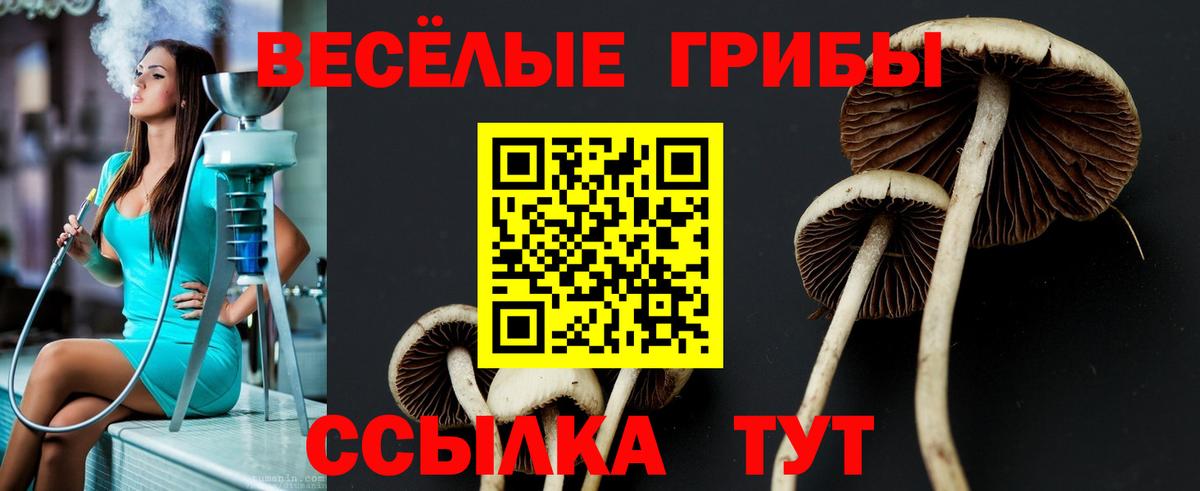 Галлюциногенные грибы MAGIC MUSHROOMS Котлас